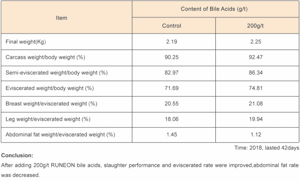 Bile Acids for Broilers