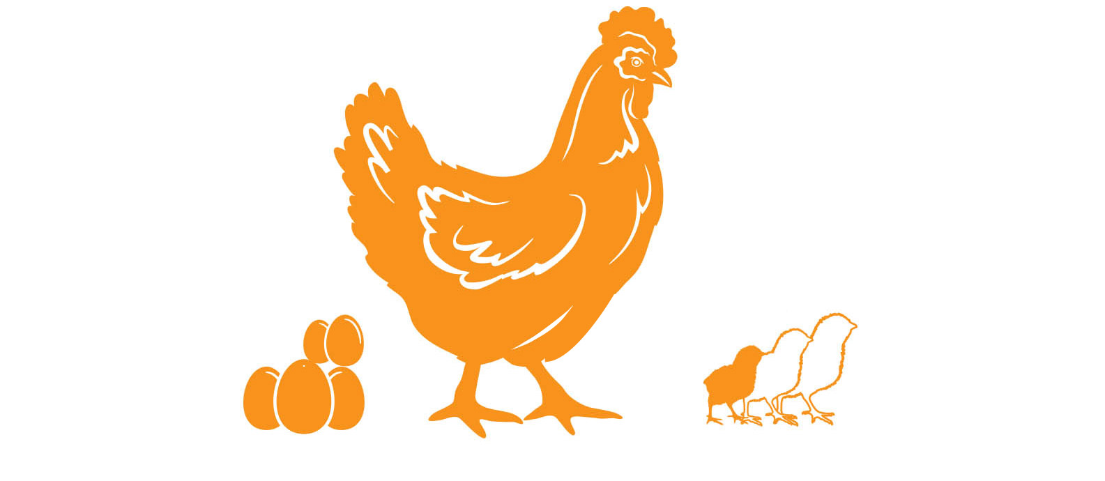 Functions for laying hens
