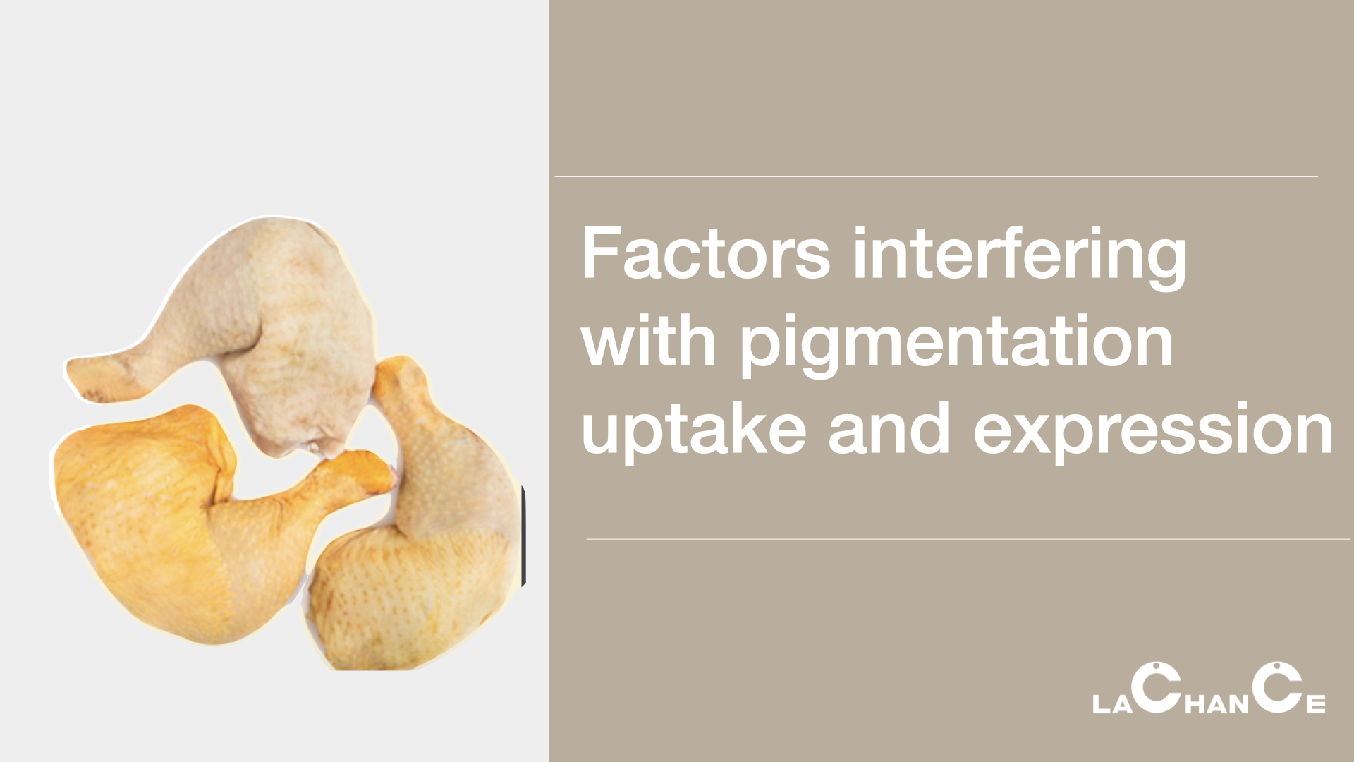 Factors interfering with pigmentation uptake and expression  