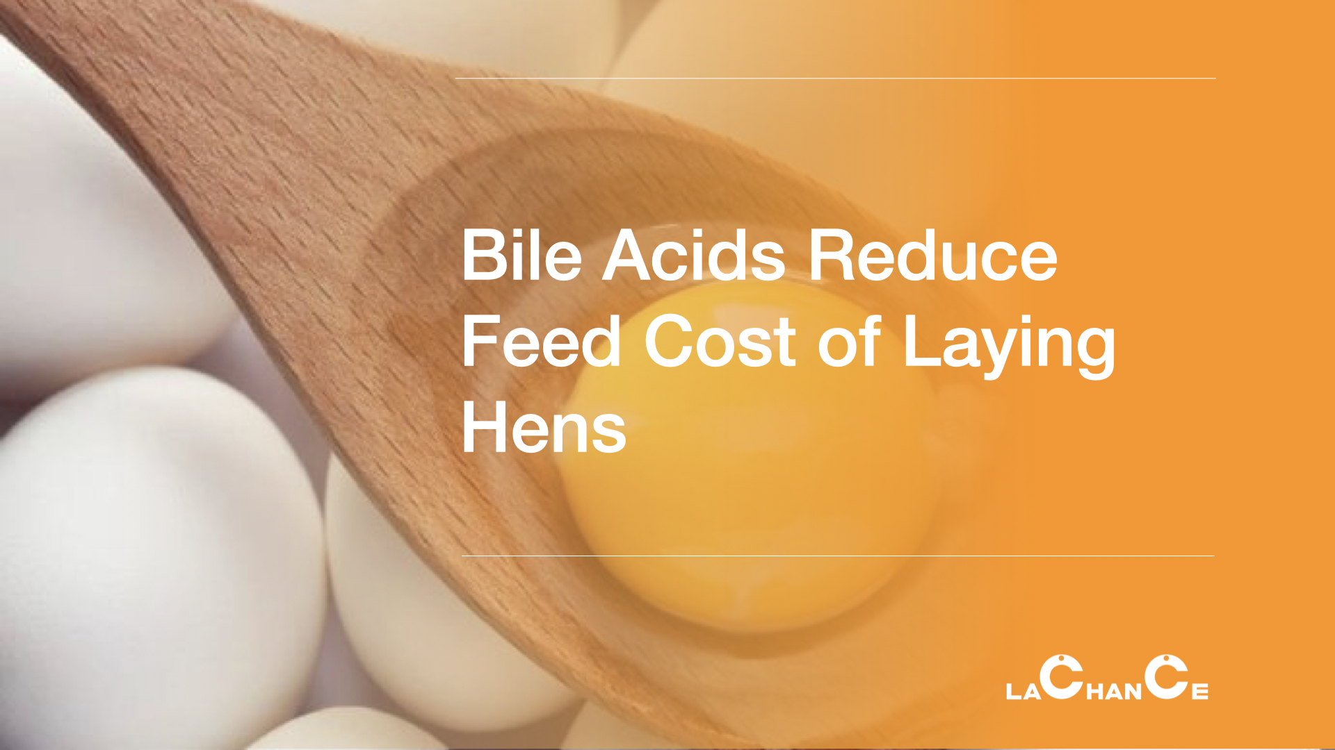 Lachance Nutrition | Bile Acids Reduce Feed Cost of Laying Hens