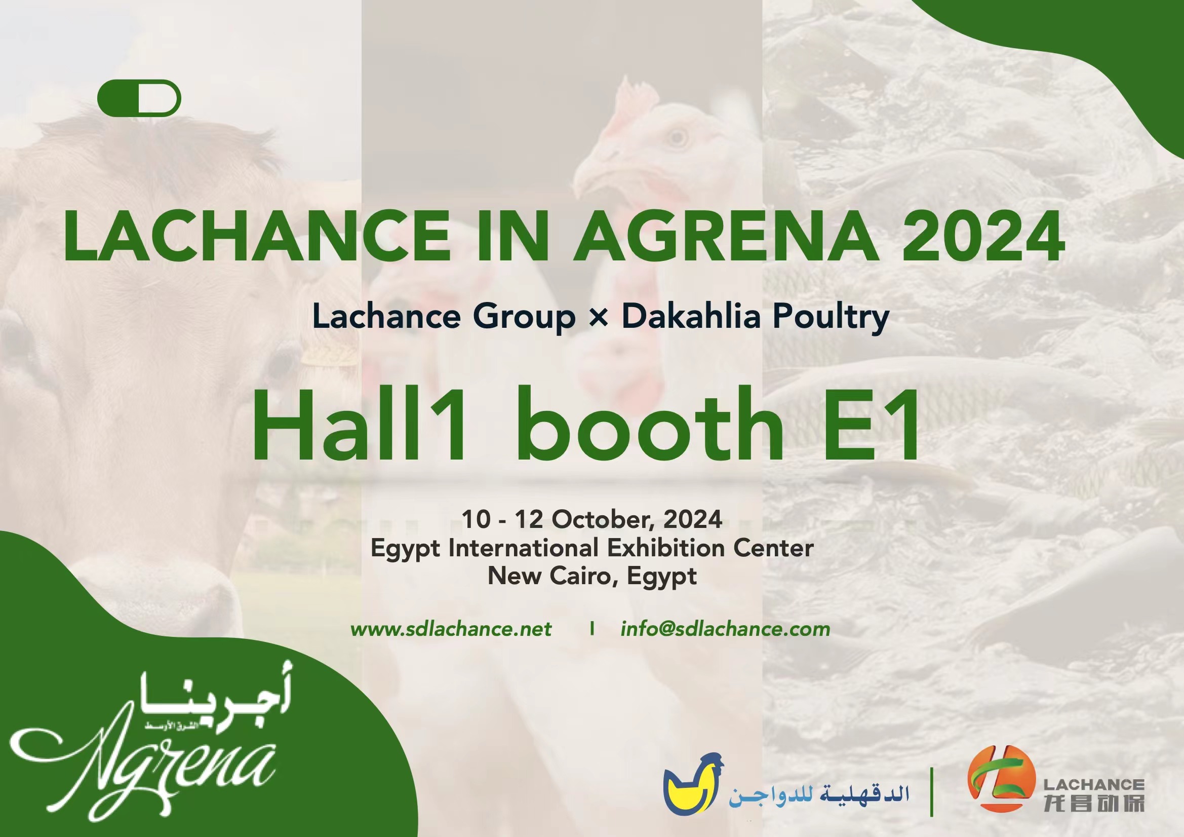 Lachance Group Appears at Egypt International Poultry Exhibition-Agrena 2024