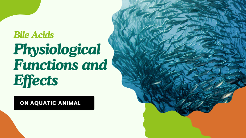 Physiological Functions of BAs and Effects on Aquatic Animals