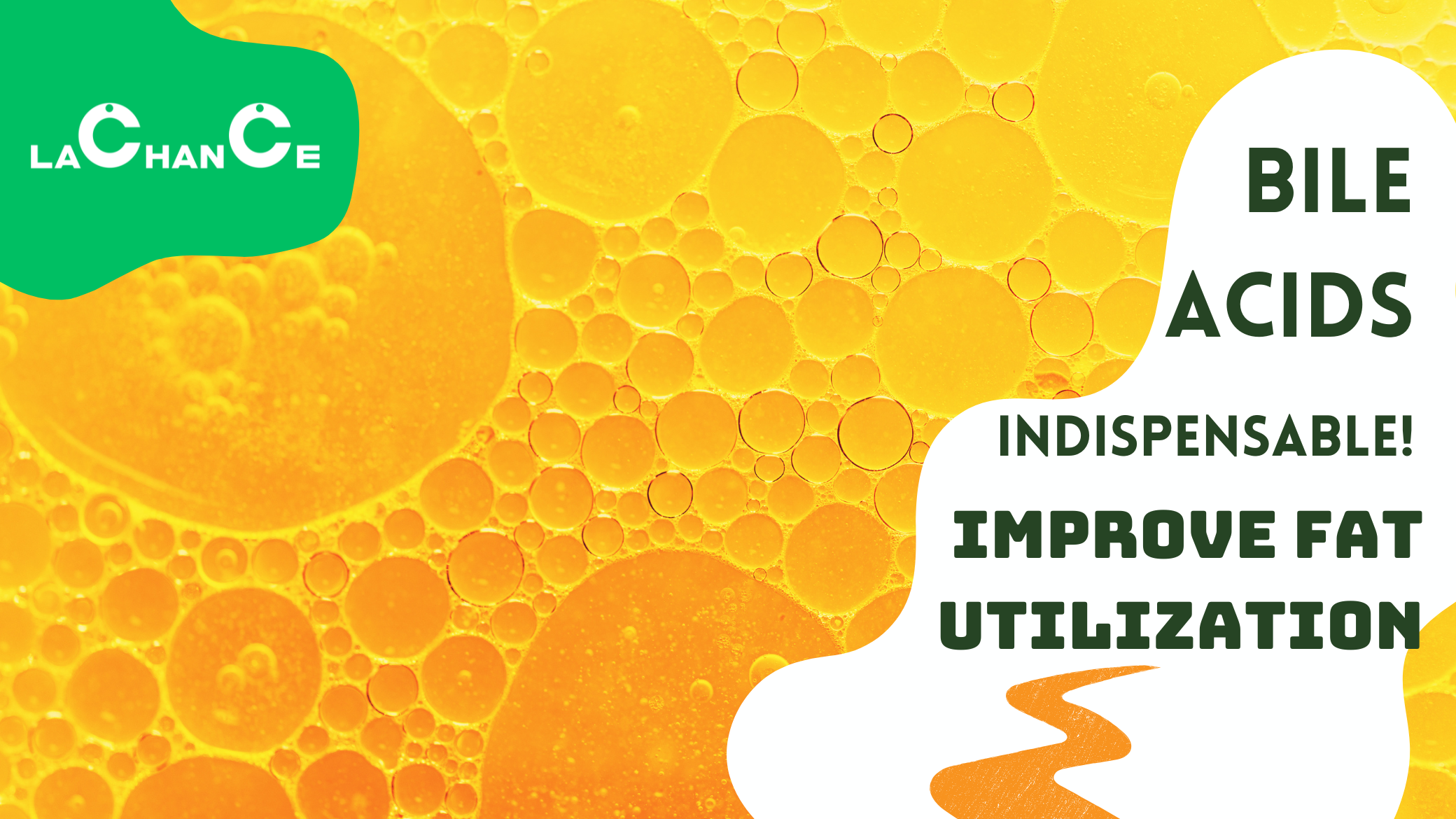 Improving Feed Fat Utilization: Bile Acids Are Indispensable!