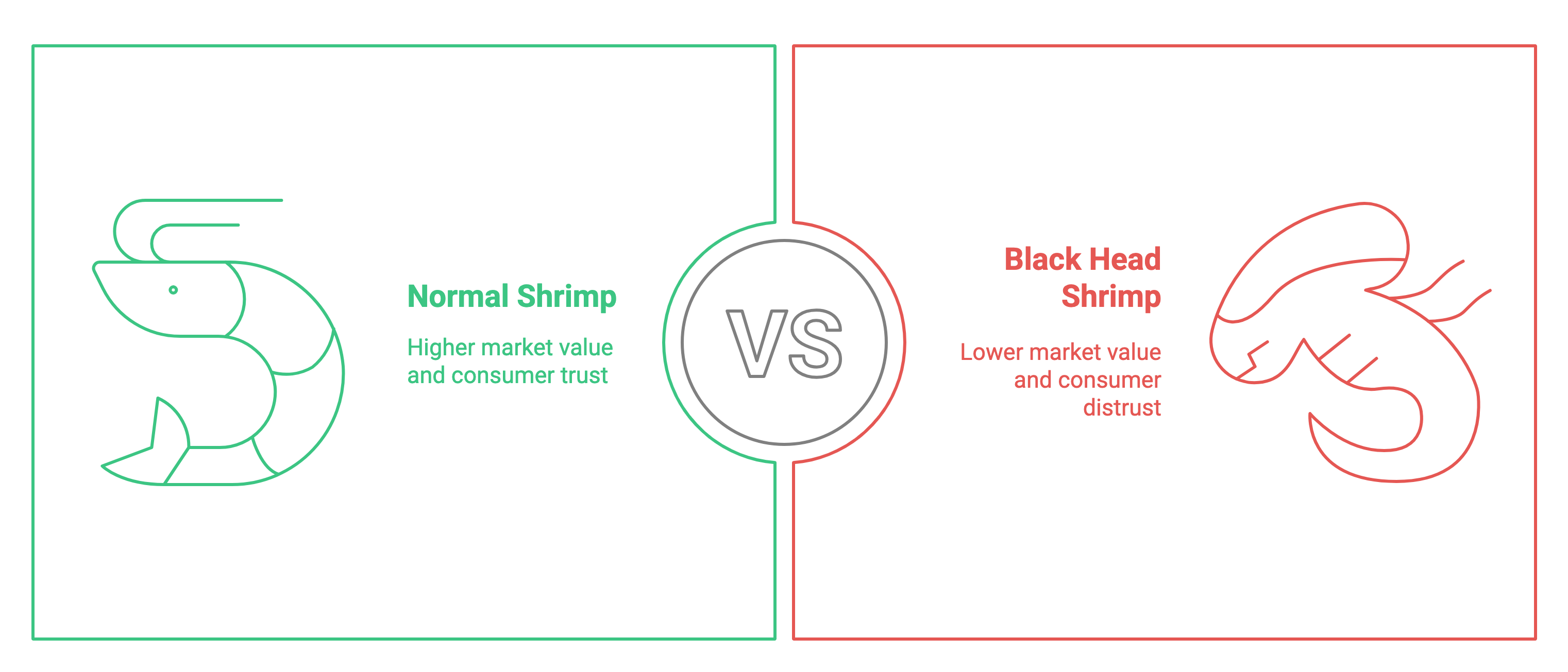 Primarily, it affects shrimp quality and market value, leading to a decline in consumer trust! - visual selection.png