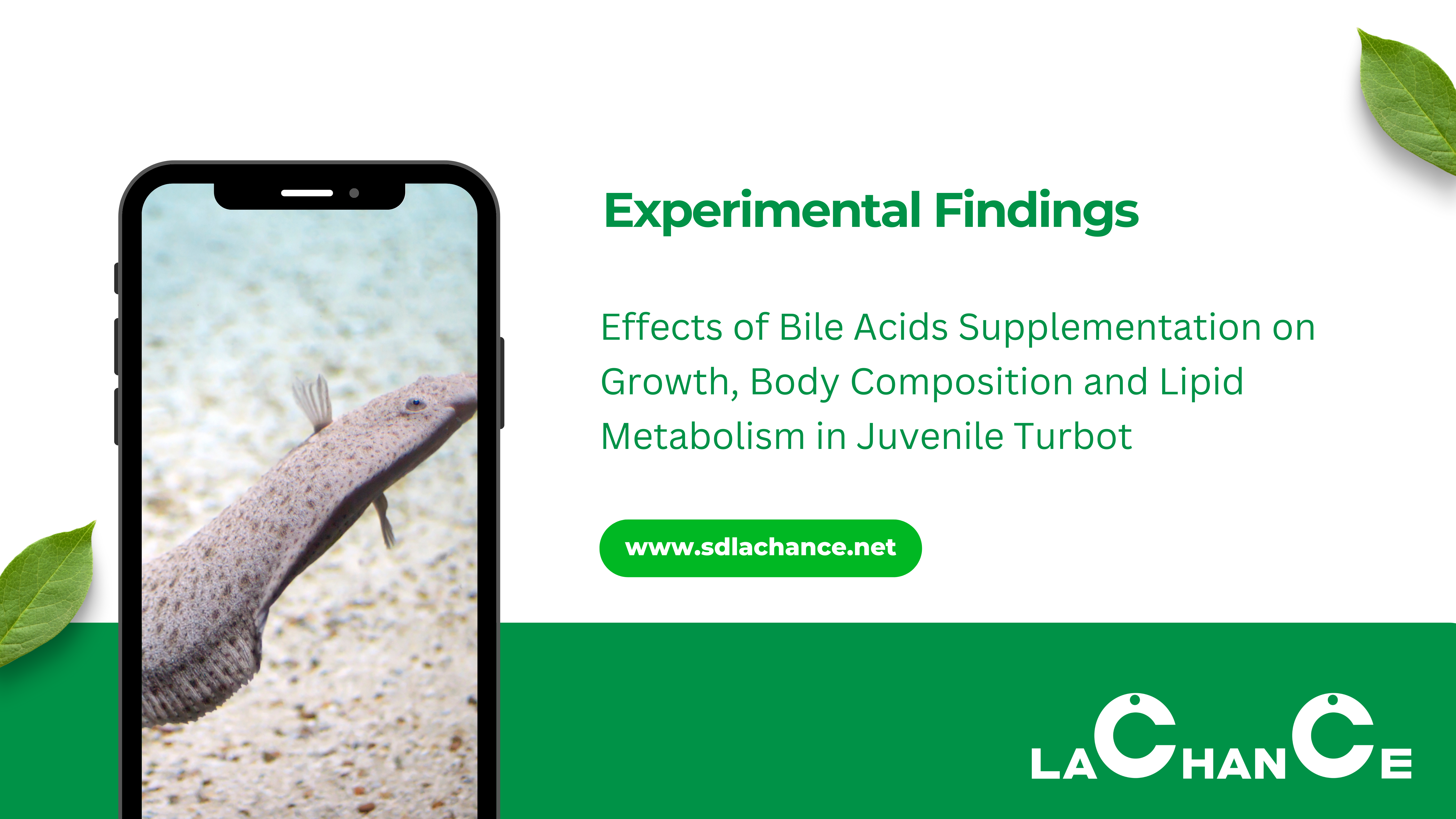 Promoting Growth & Enhancing Fat Utilization: A Trial of Bile Acid Supplementation in Juvenile T