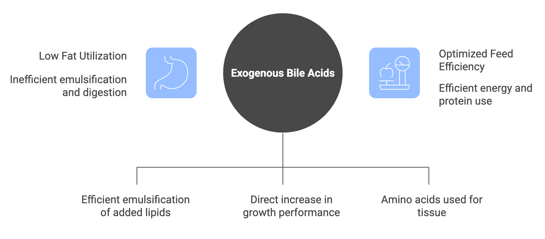 _- visual selection的副本.png