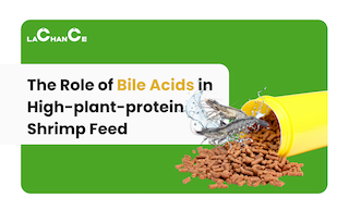 The Role of Bile Acids in High-plant-protein Shrimp Feed